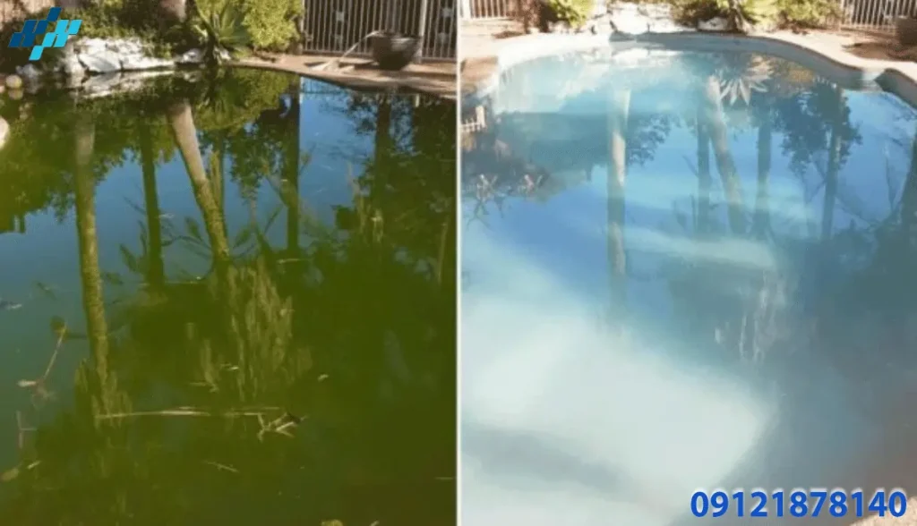 جلوگیری از جلبک استخر